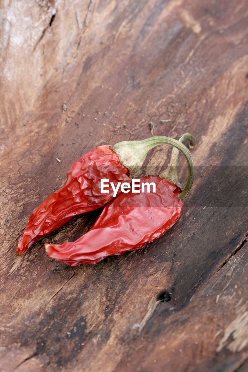 Close-up of red chili pepper on wood