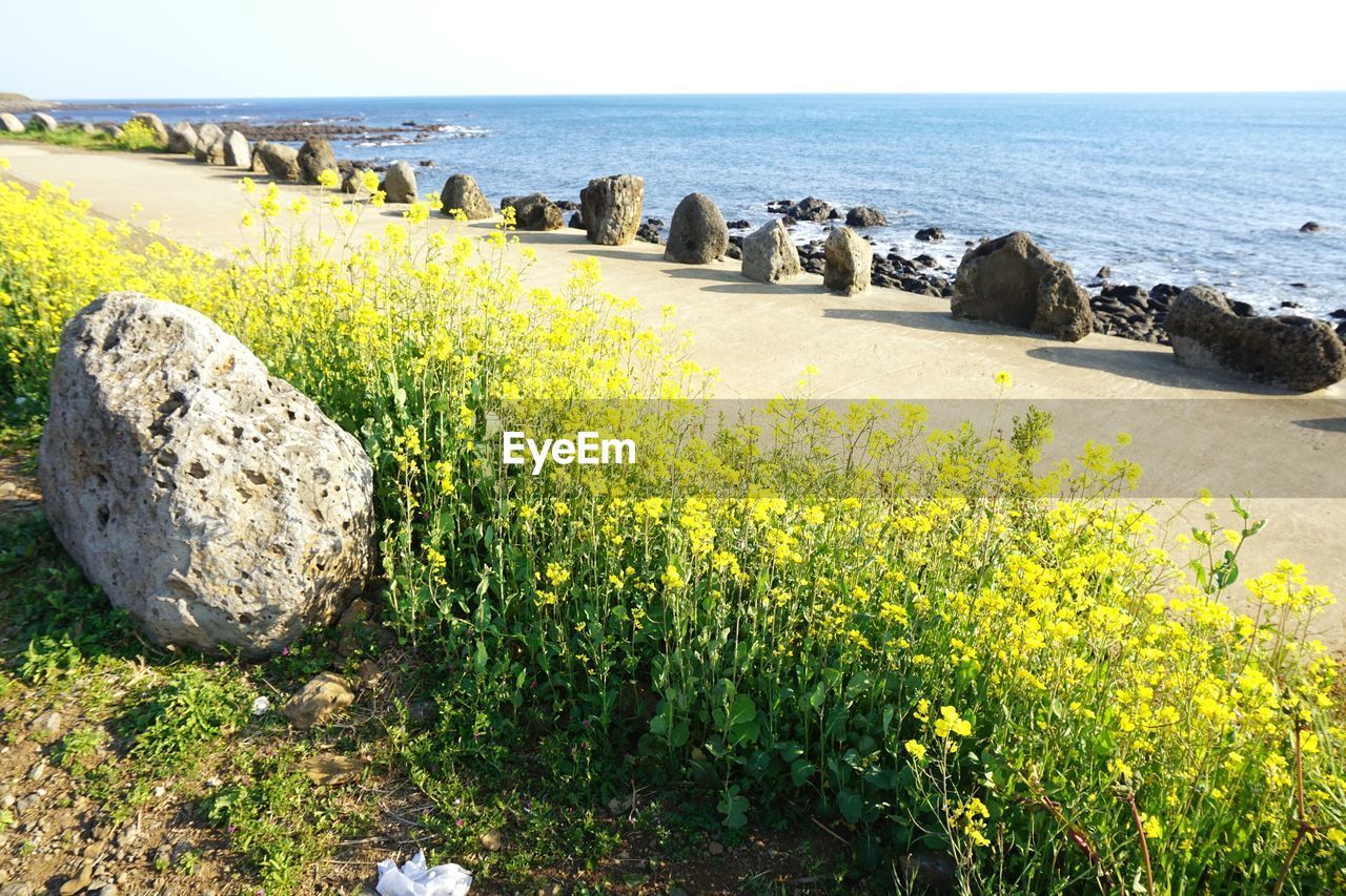 Scenic view of sea against clear sky