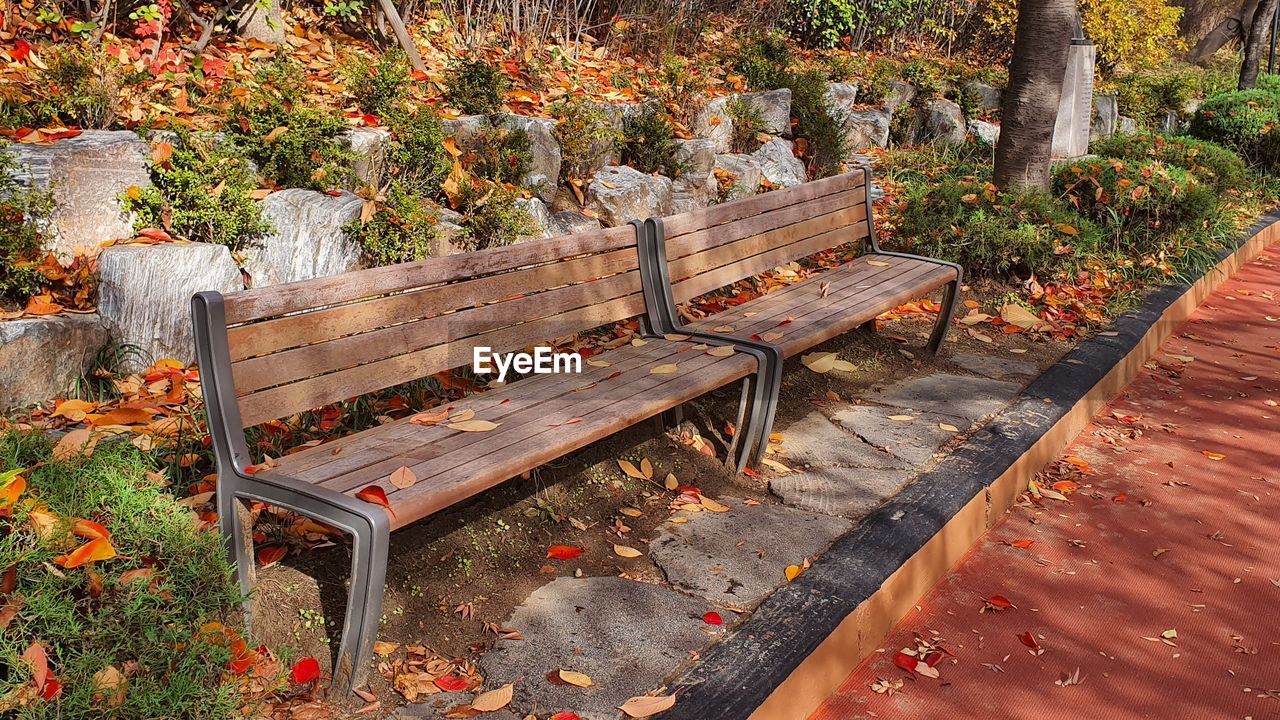 EMPTY BENCH BY PLANTS IN PARK