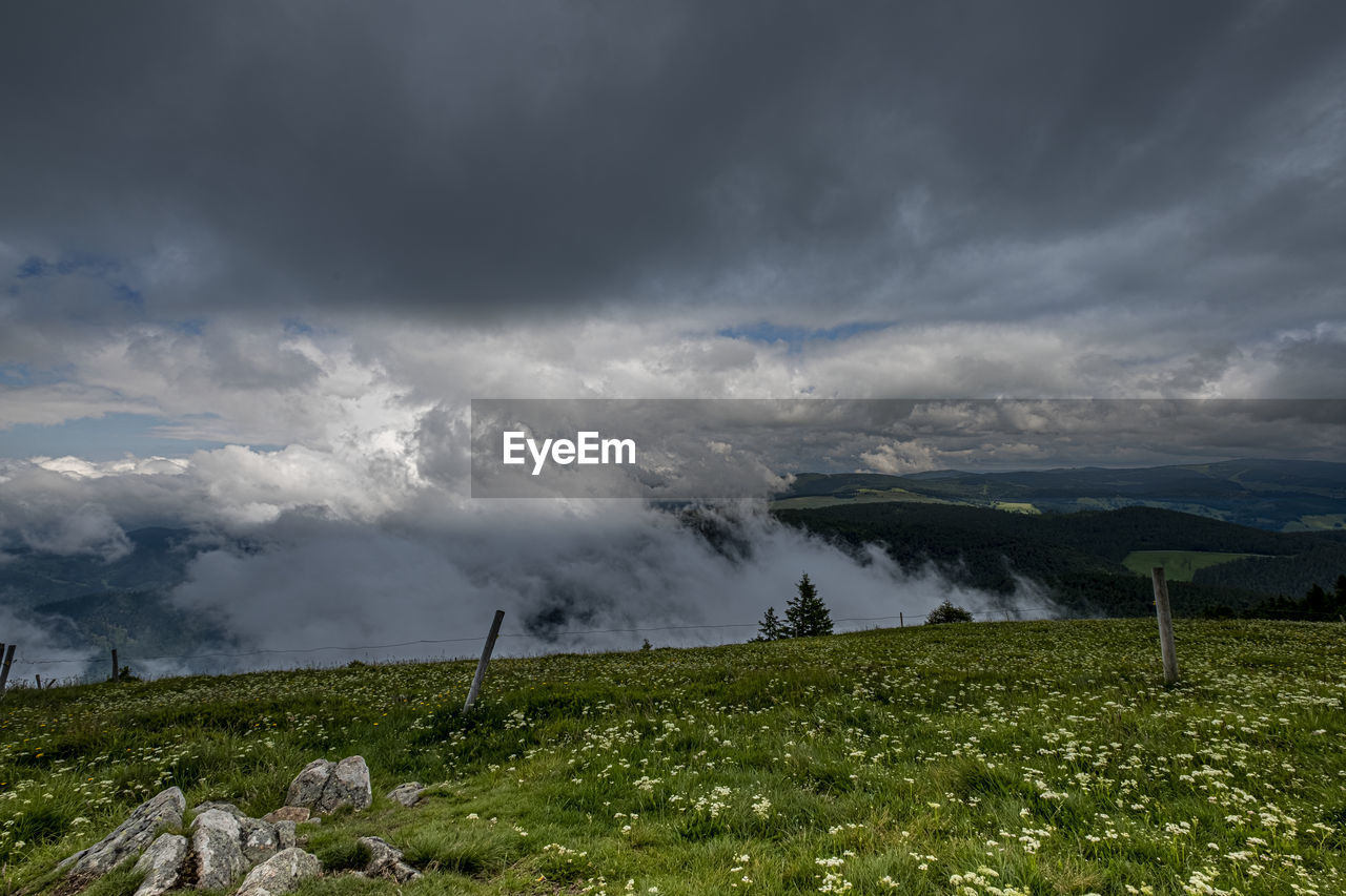 Scenic view of landscape against sky