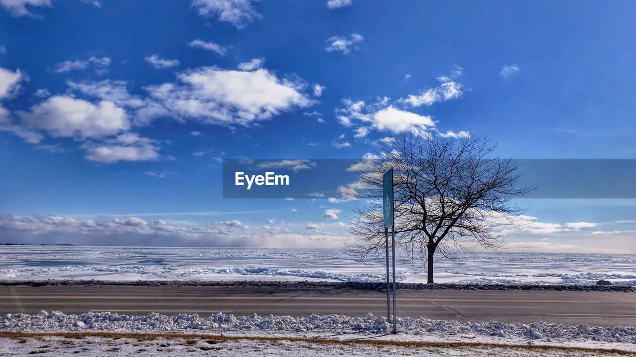 Bare tree on snow covered land against sky