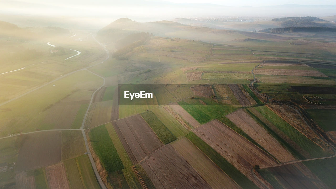 High angle view of agricultural field