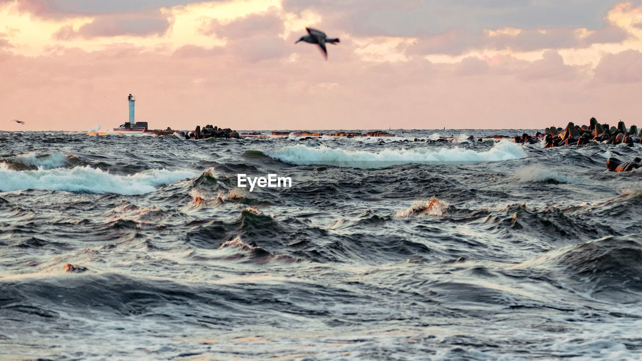 Seagull flying over sea against sky during sunset