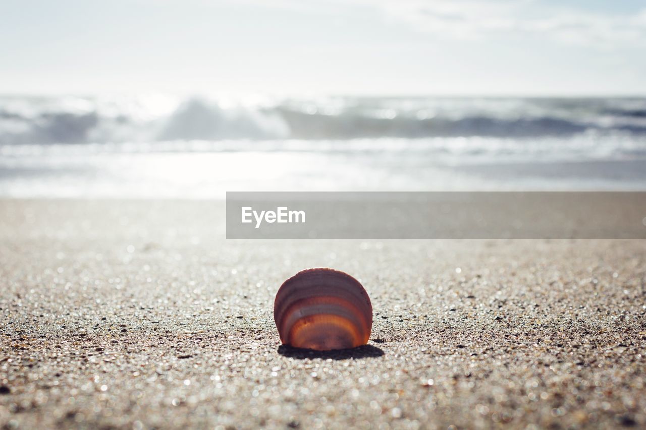 SURFACE LEVEL OF PEBBLES ON BEACH