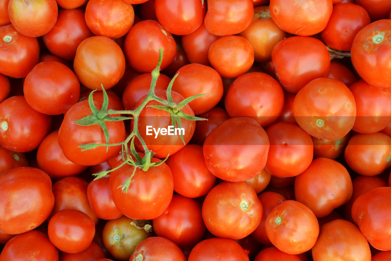 Full frame shot of fresh organic tomatoes