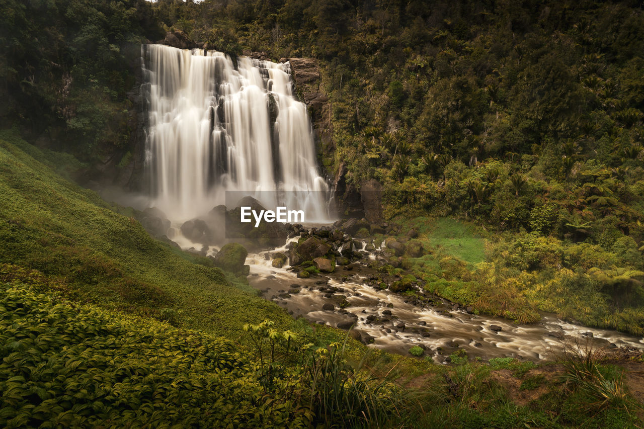 WATERFALL IN FOREST