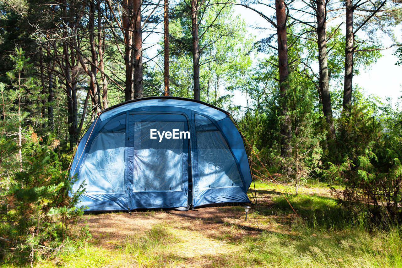 Blue large four-seater camping tent stands in shade of pine forest, weather is sunny. summer camp,