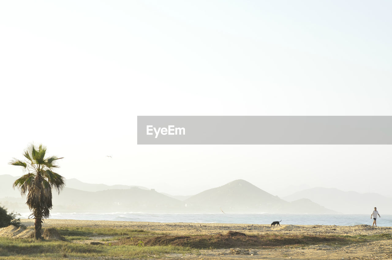 Scenic view of field against clear sky
