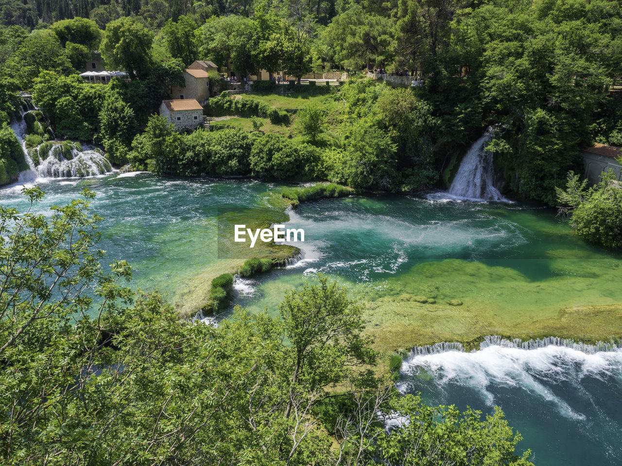 Scenic view of waterfall in forest