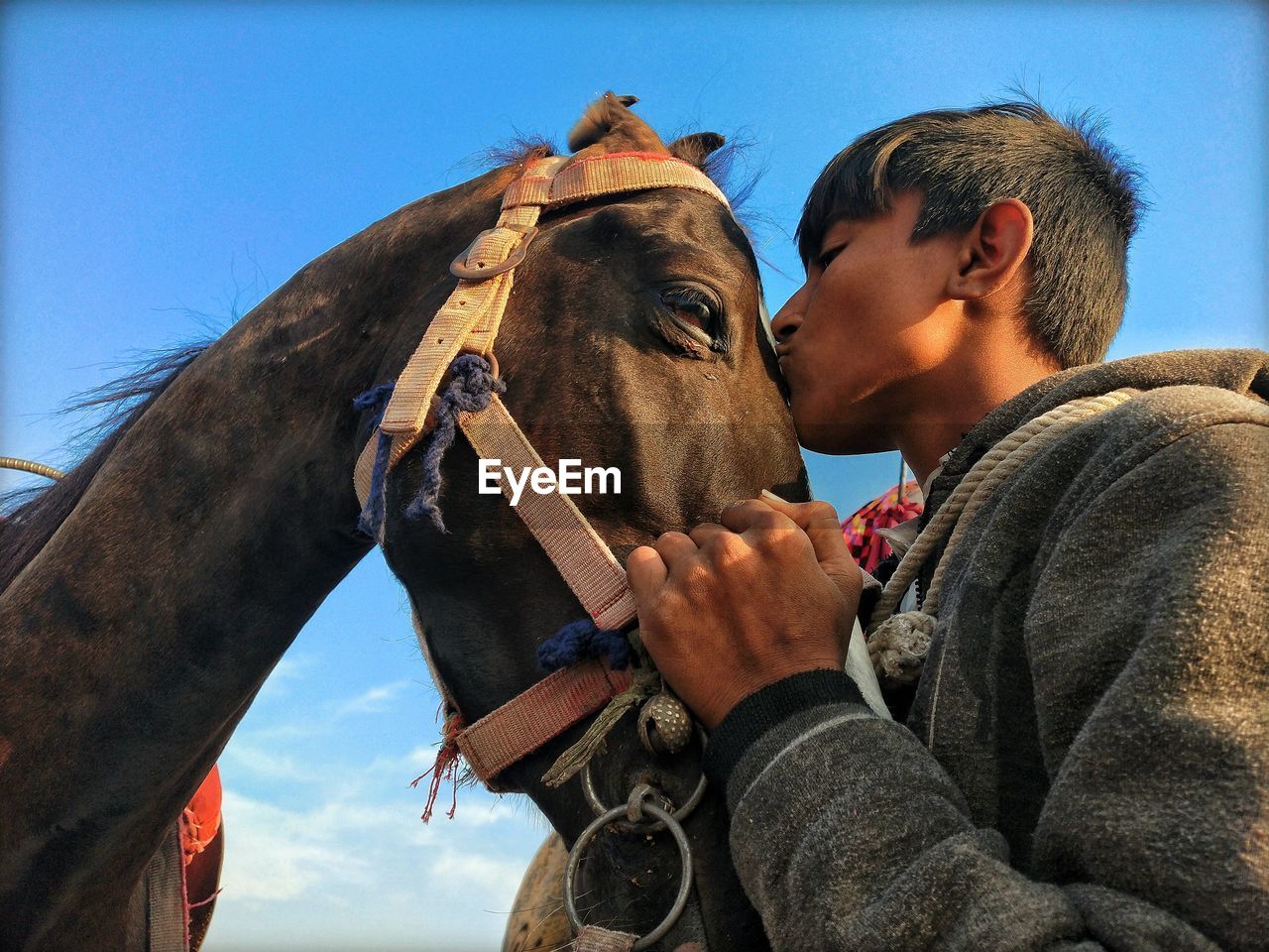 Low angle view of man kissing horse against sky