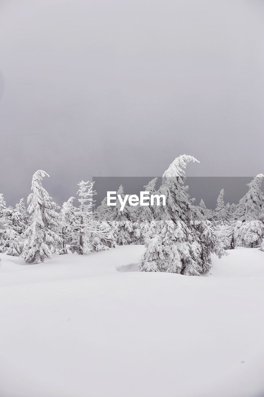 Scenic view of snow covered landscape against clear sky