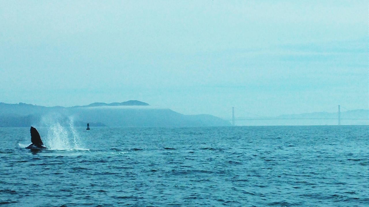 SCENIC VIEW OF SEA WITH MOUNTAINS IN BACKGROUND