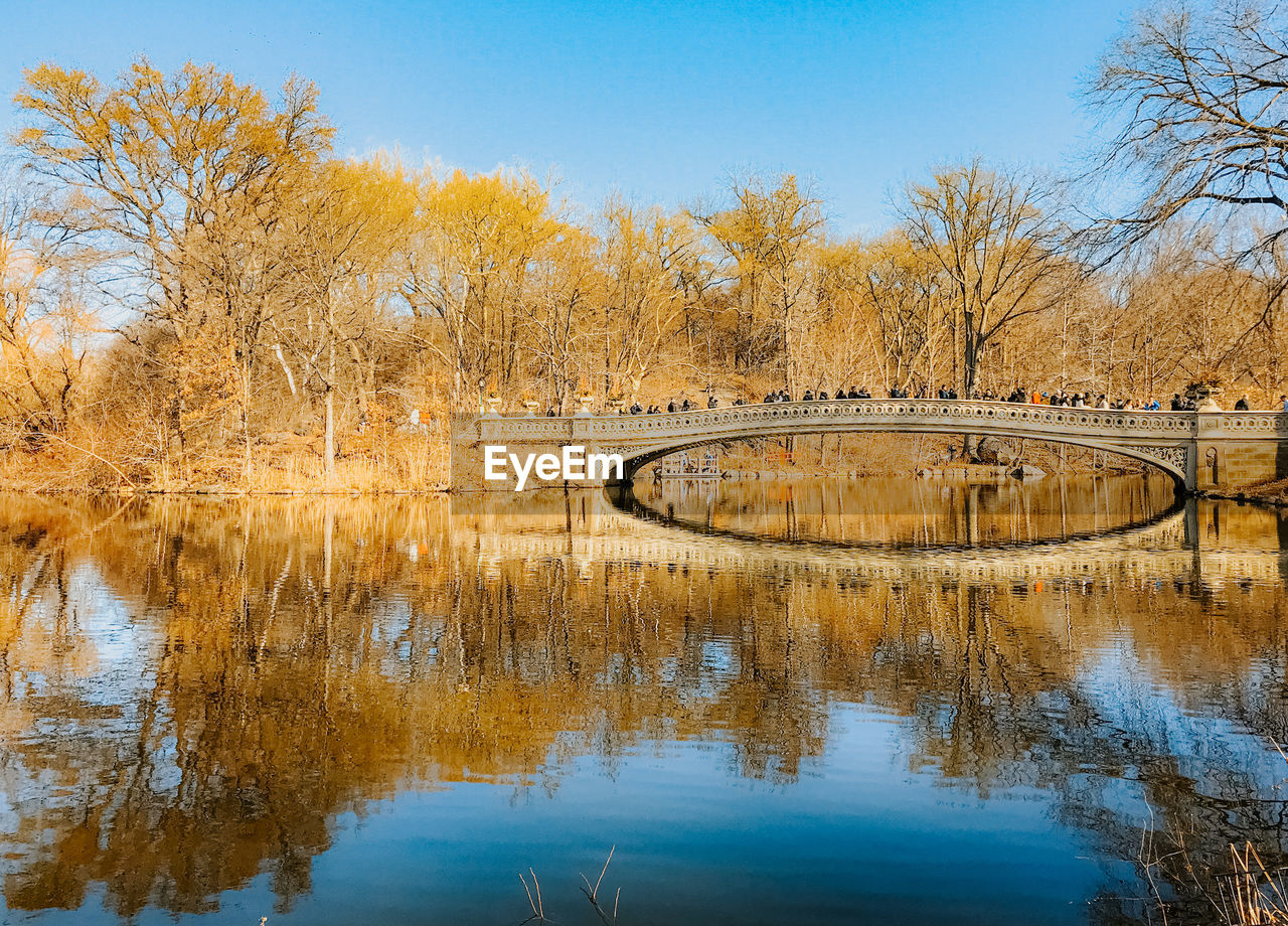 Central park reflection 