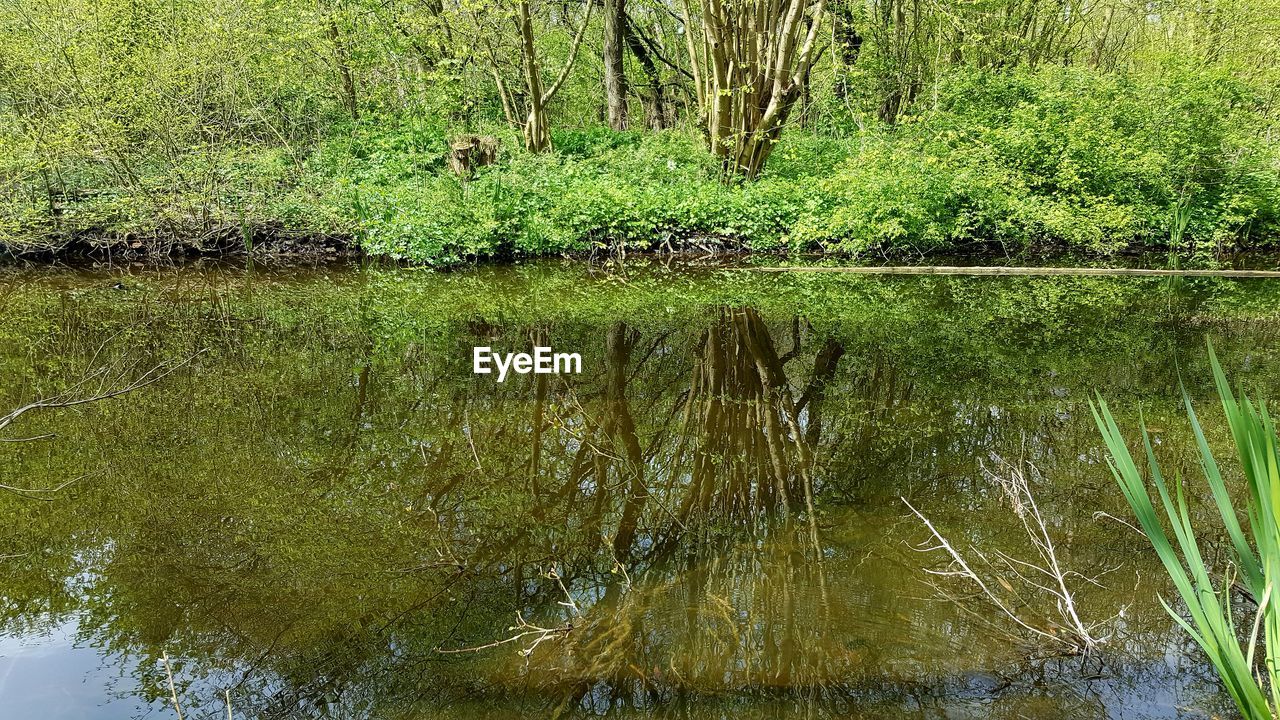 FULL FRAME SHOT OF WATER SURFACE