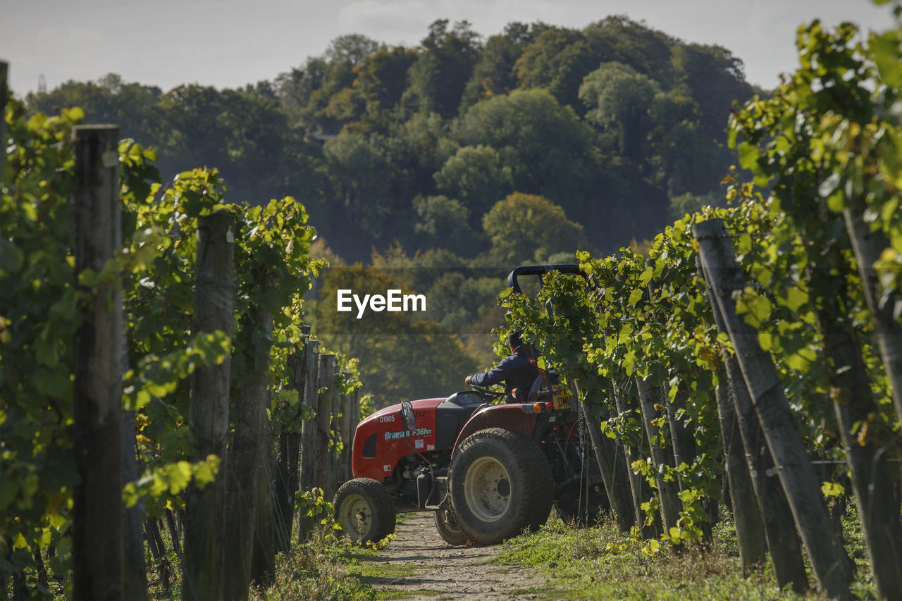 TRACTOR ON FIELD BY TREES