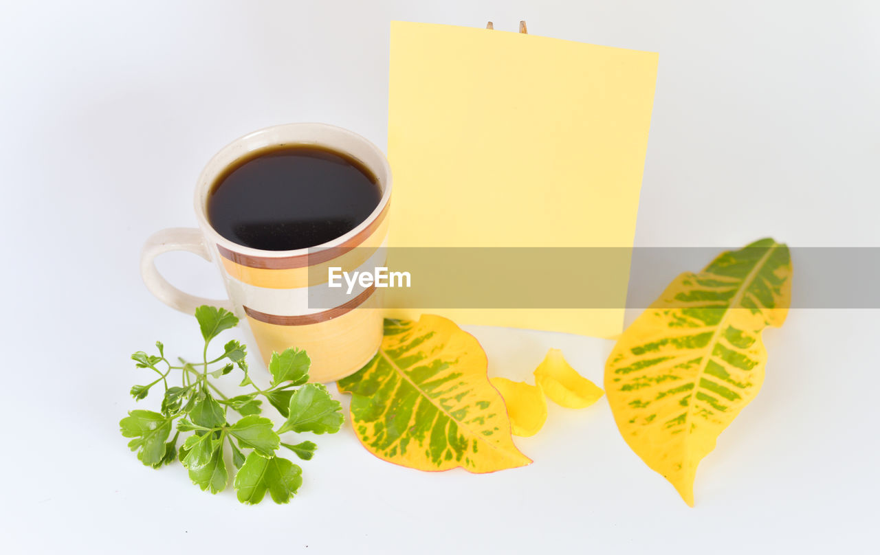 HIGH ANGLE VIEW OF COFFEE CUP ON TABLE AGAINST WHITE BACKGROUND