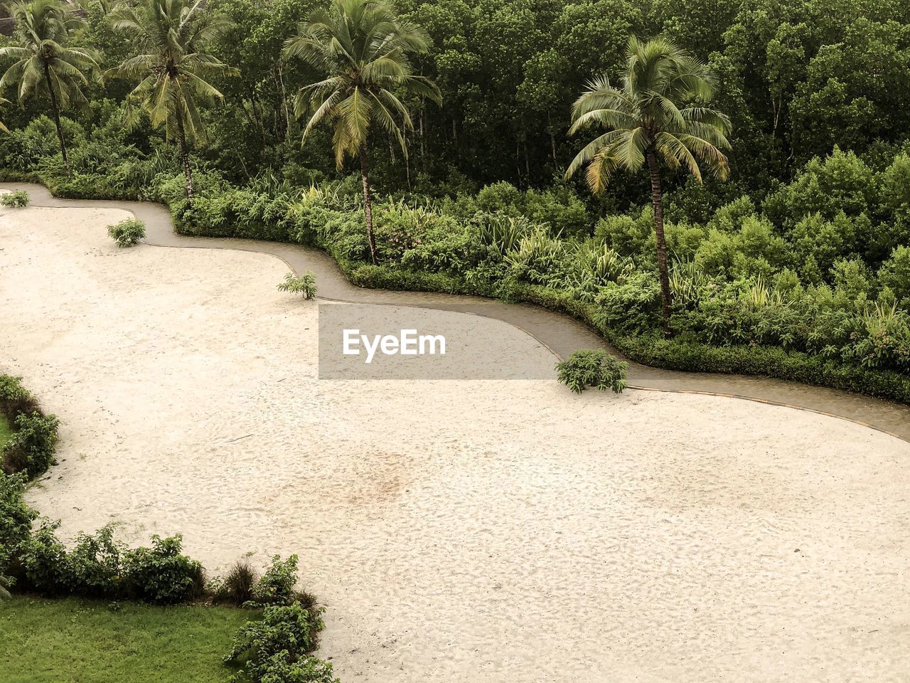 Scenic view of palm trees on land