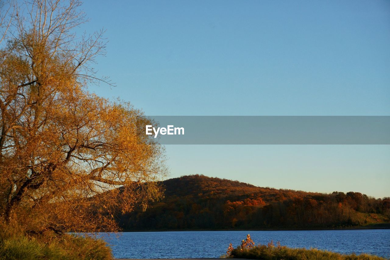 Scenic view of lake against clear blue sky