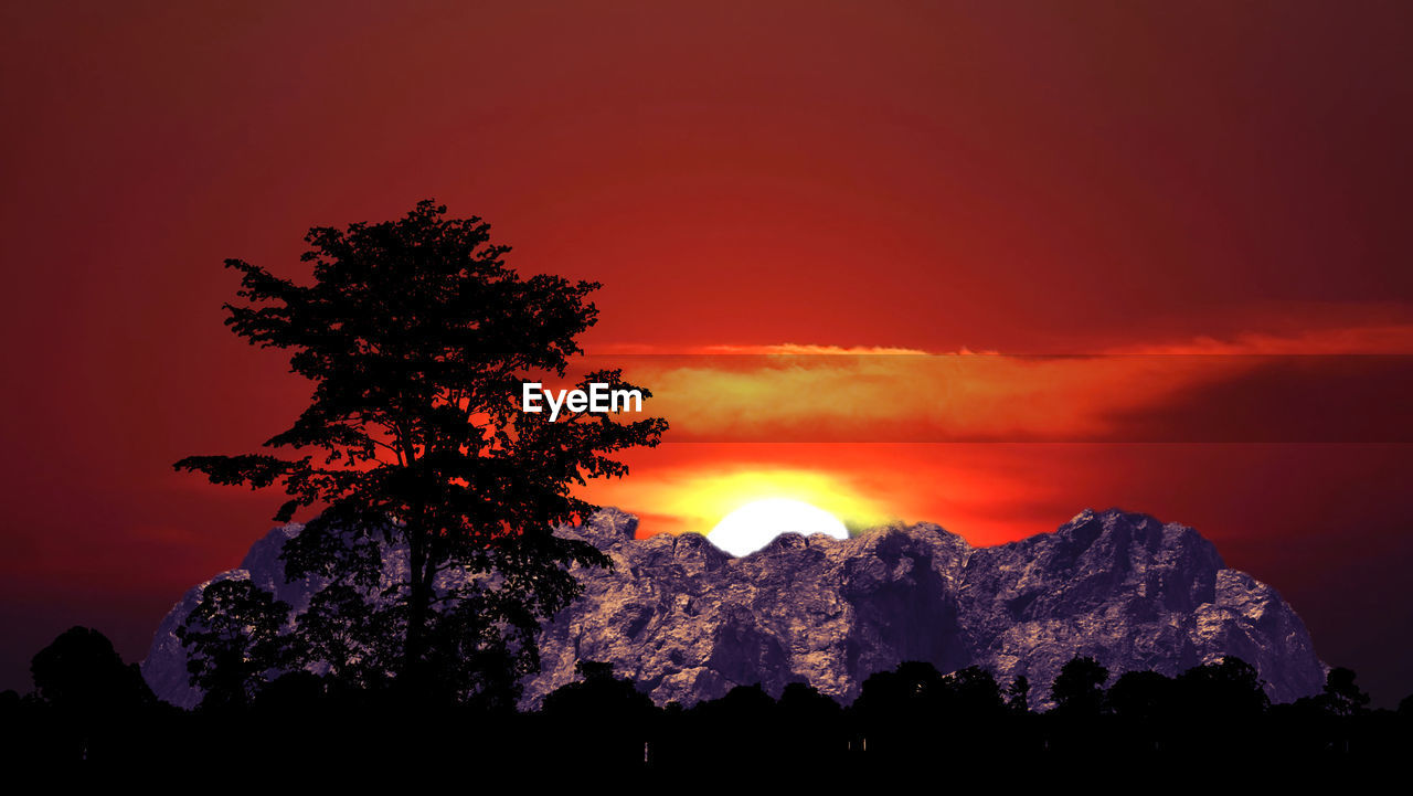 Low angle view of silhouette tree against orange sky