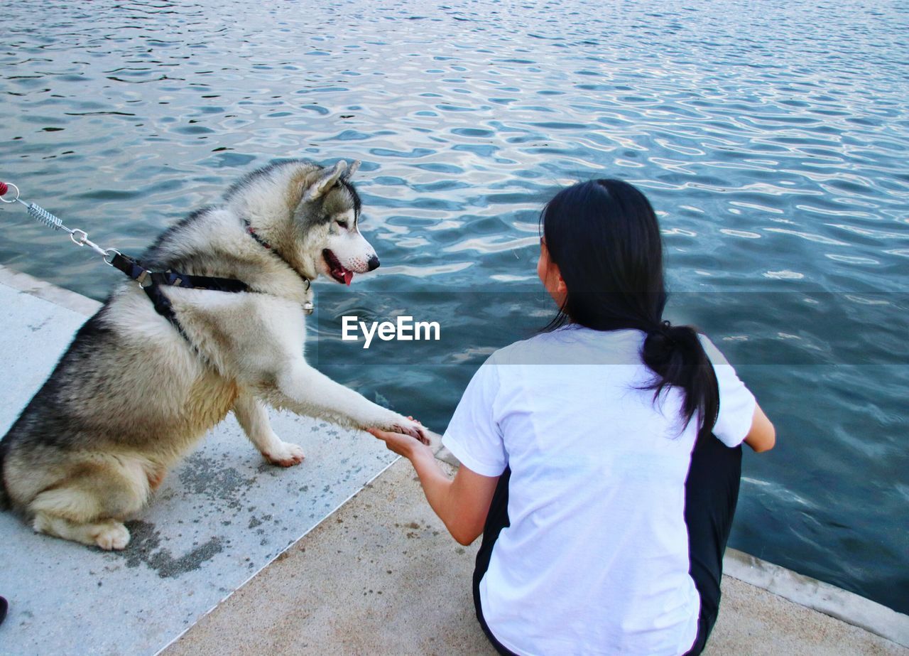 Rear view of woman holding dog paw at lakeshore