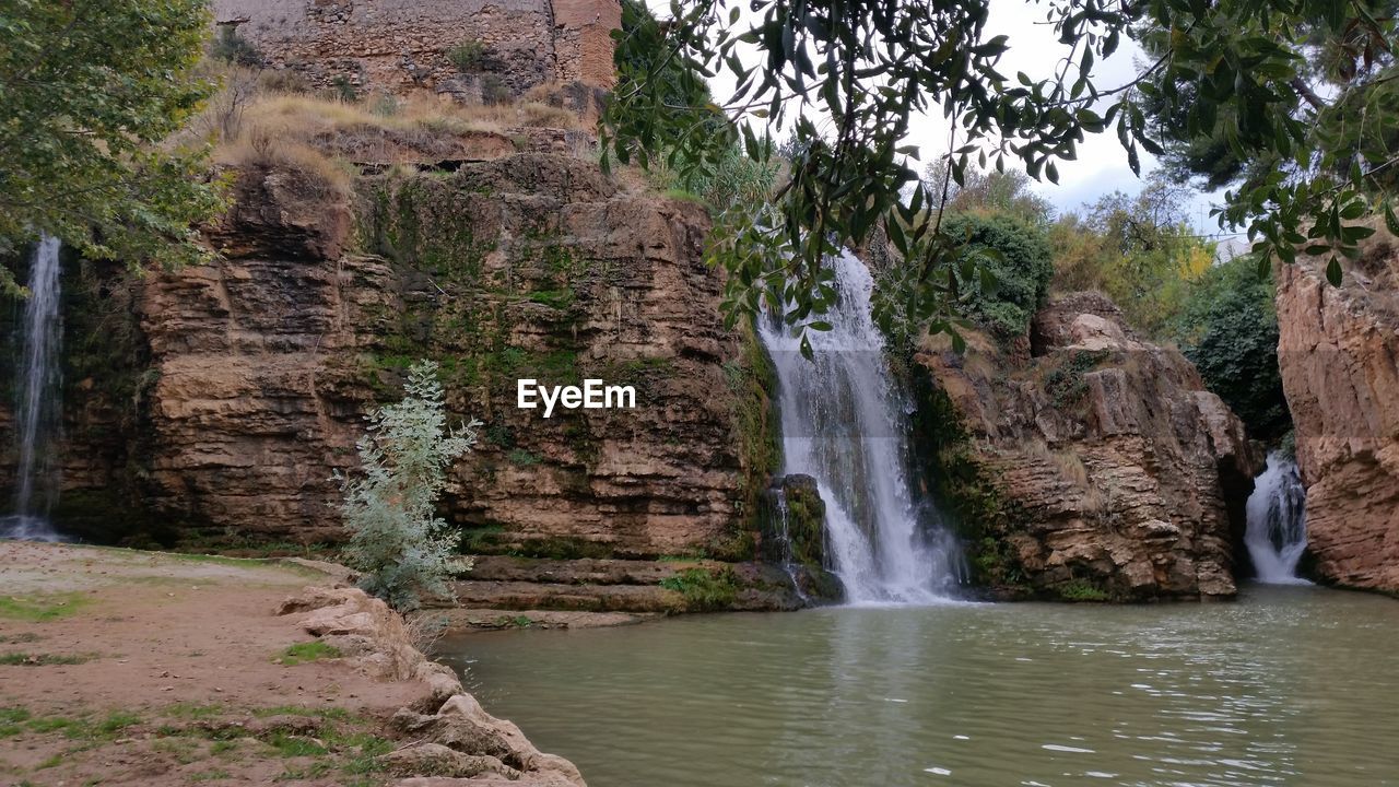 VIEW OF WATERFALL ALONG TREES