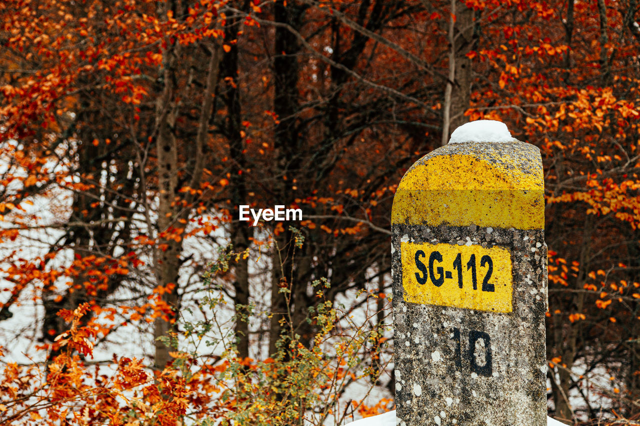 INFORMATION SIGN BY TREES IN FOREST