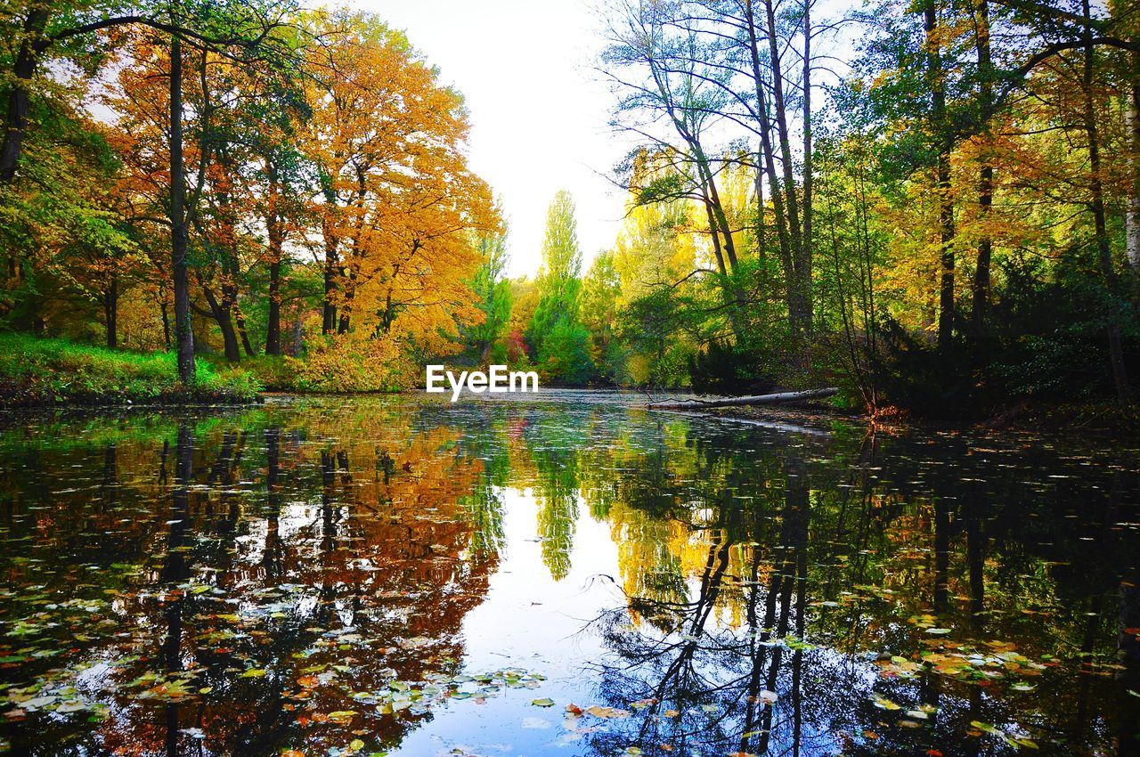 River with reflection amidst trees during autumn