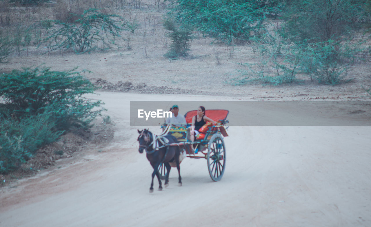 PEOPLE RIDING HORSE CART IN FARM