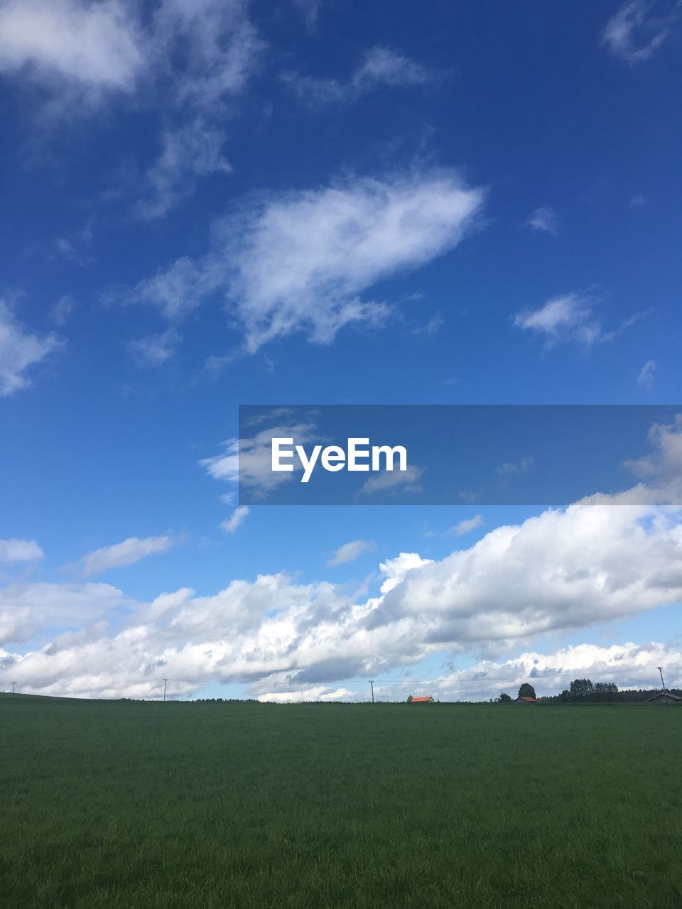 Scenic view of grassy field against clear sky