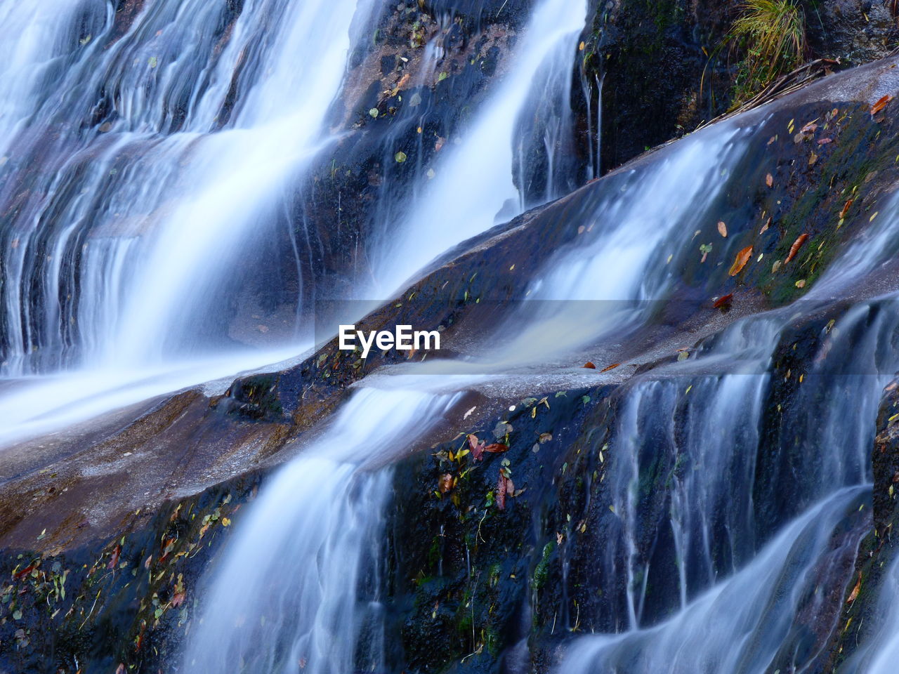 WATERFALL IN FOREST