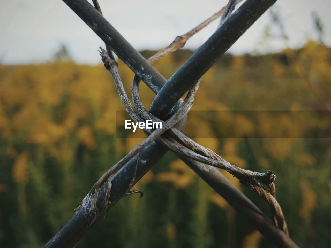 Detail shot of fence against blurred field