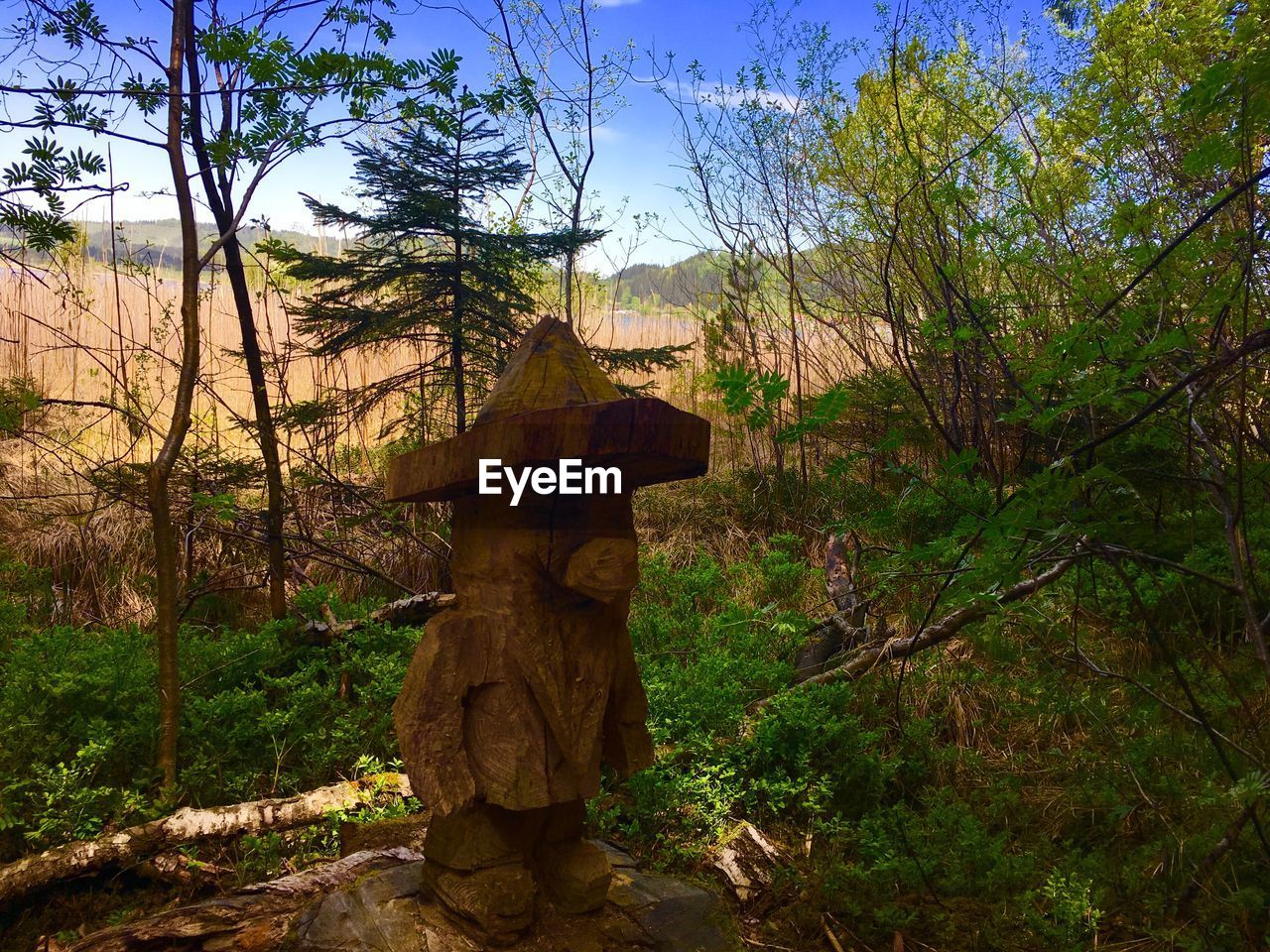 STATUE AMIDST TREES IN FOREST