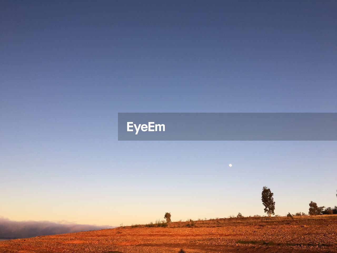Scenic view of field against clear blue sky