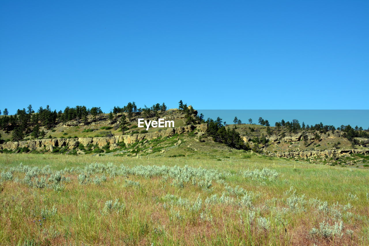 Scenic view of grassy field by hill against clear blue sky