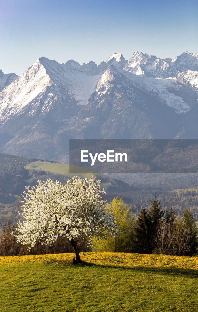 scenic view of mountains