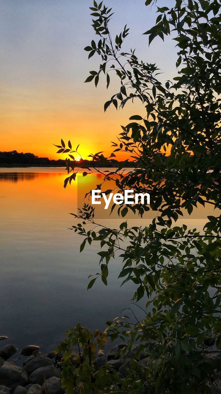 SILHOUETTE TREE BY LAKE AGAINST ORANGE SKY