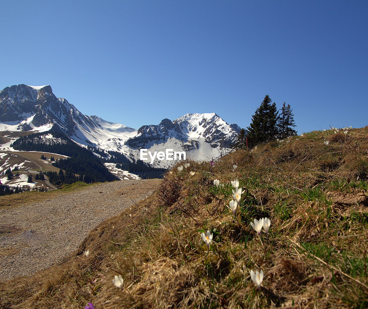 Scenic view of mountains against clear blue sky