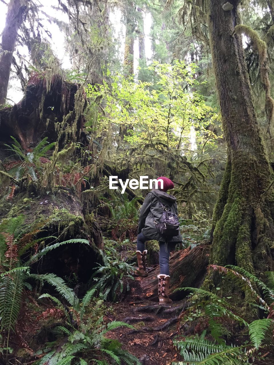 Low angle view of woman hiking in forest