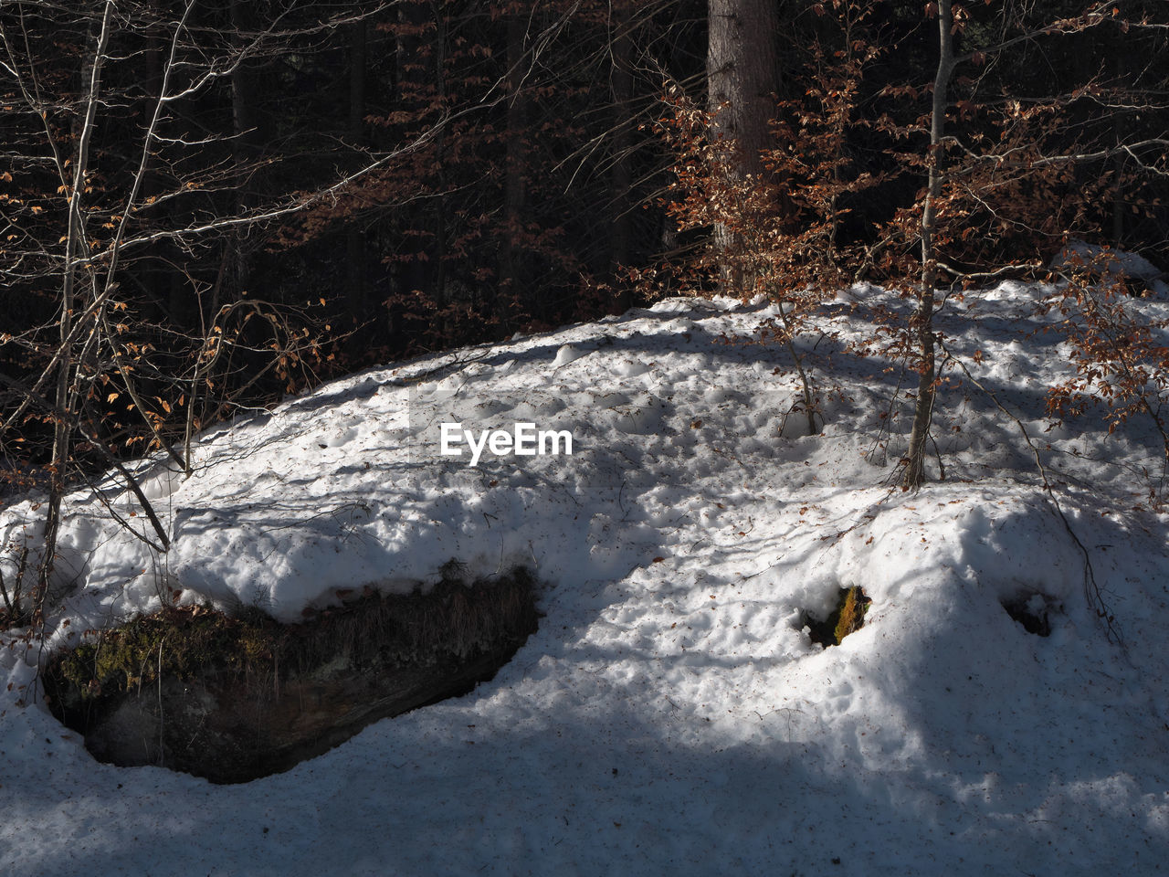 SCENIC VIEW OF SNOW COVERED FIELD