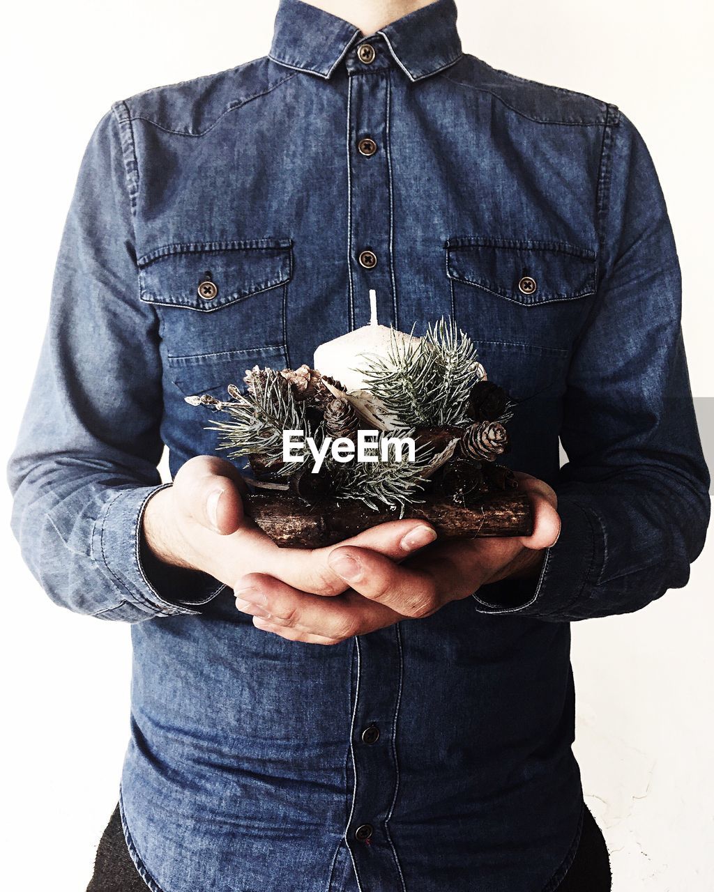 Midsection of man holding pine cones against white background