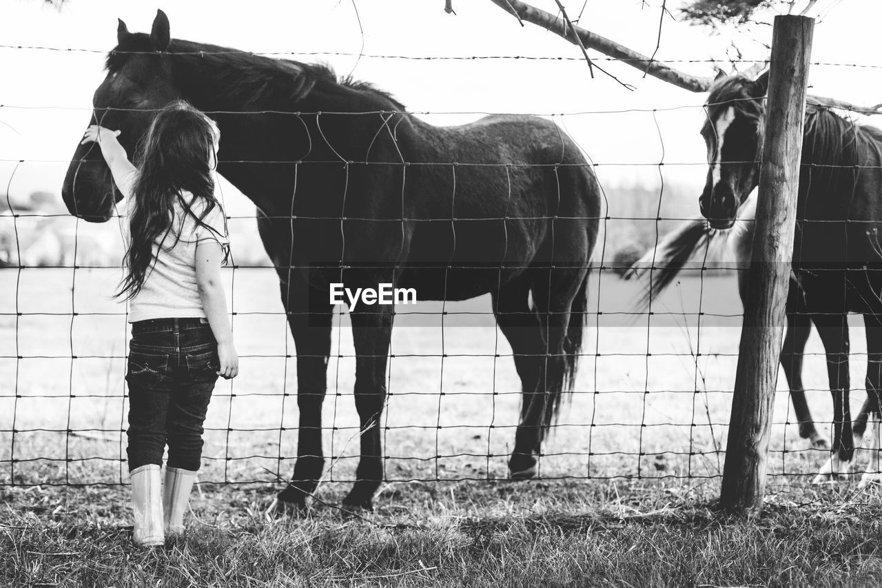 Rear view of girl touching horse in ranch