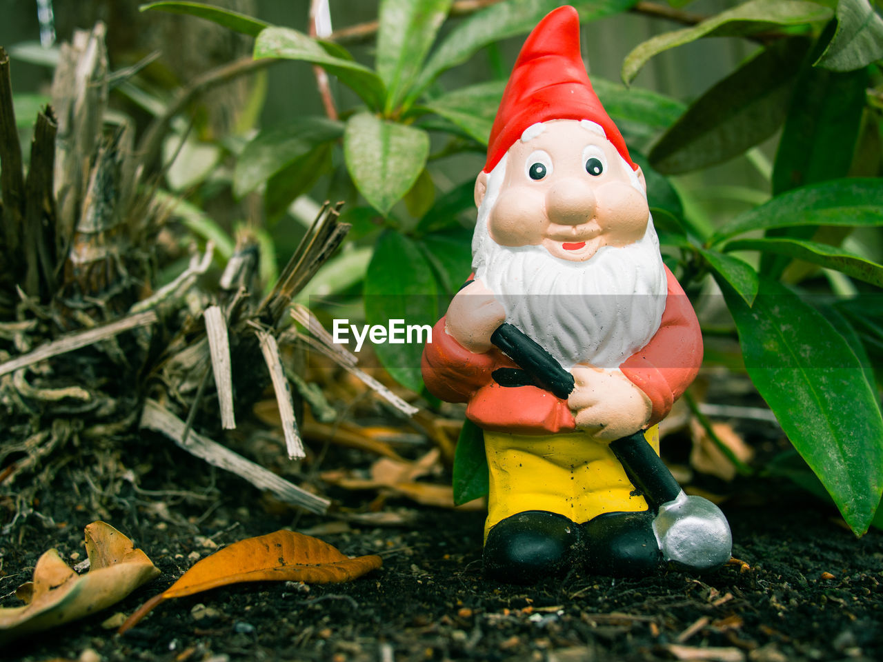 Little gnome in the garden