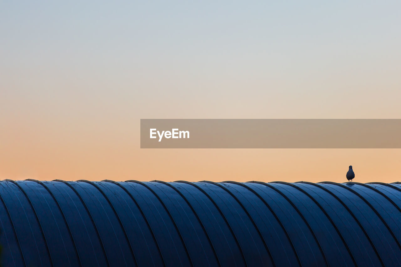 Bird perching on roof against clear sky during sunset