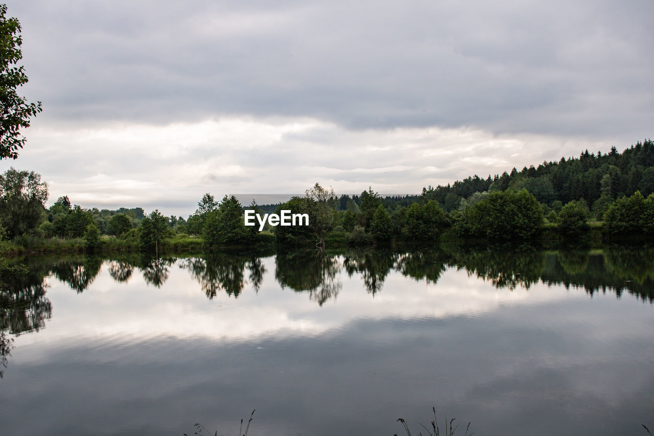 REFLECTION OF TREES ON LAKE AGAINST SKY