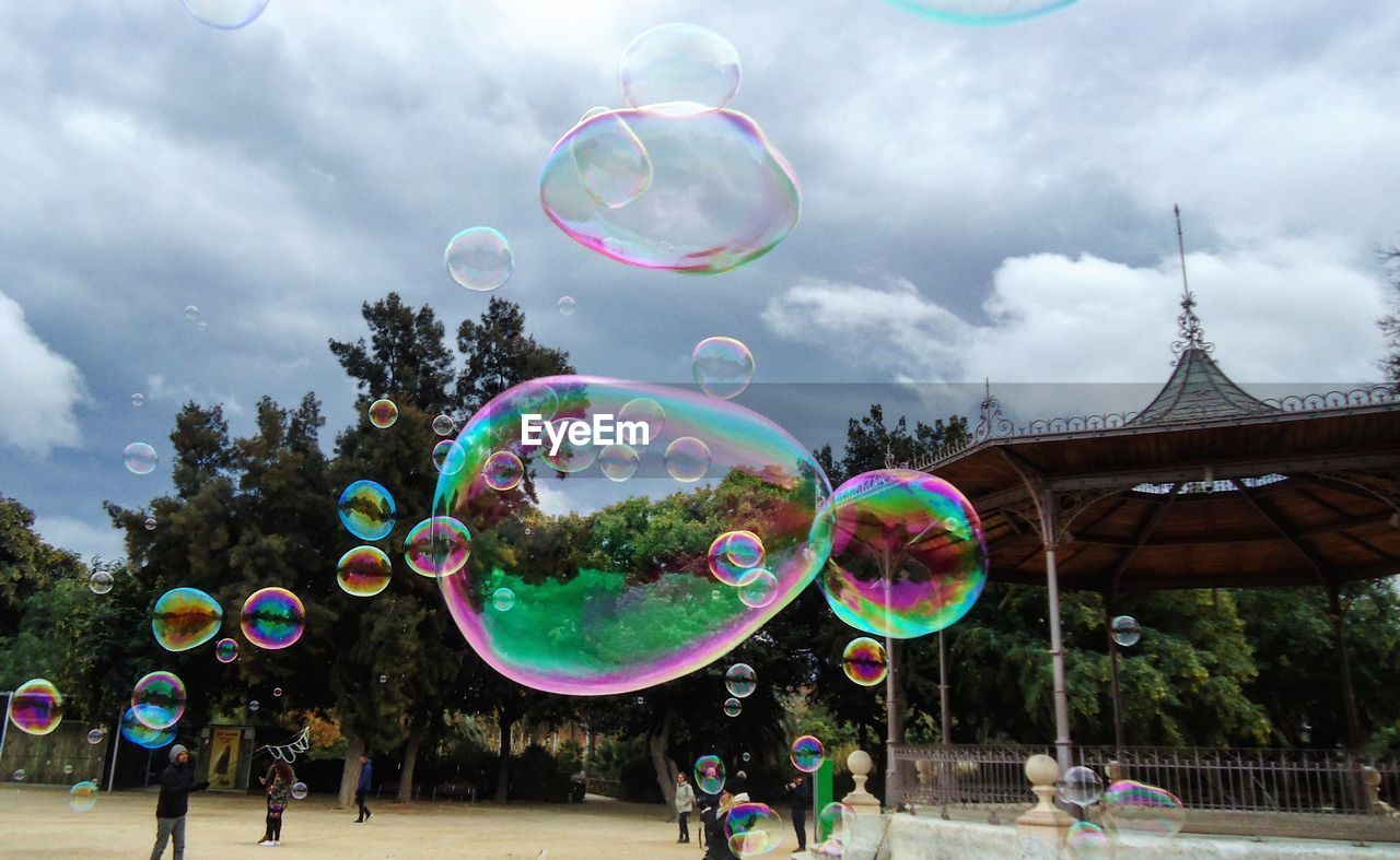 VIEW OF BUBBLE AGAINST TREES