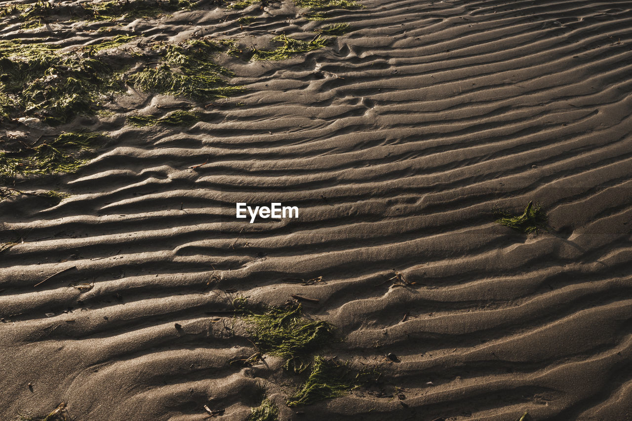 High angle view of sand dune