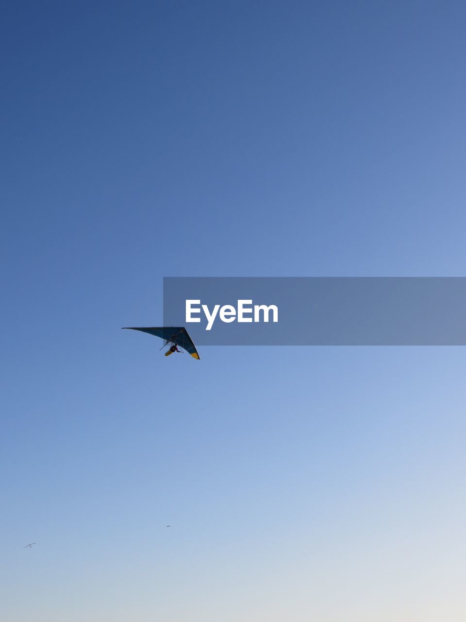LOW ANGLE VIEW OF BIRD FLYING IN CLEAR SKY
