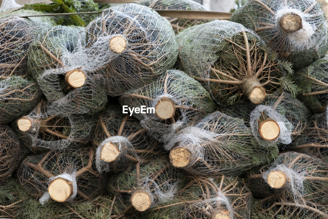 Full frame shot of packed christmas trees for transport.