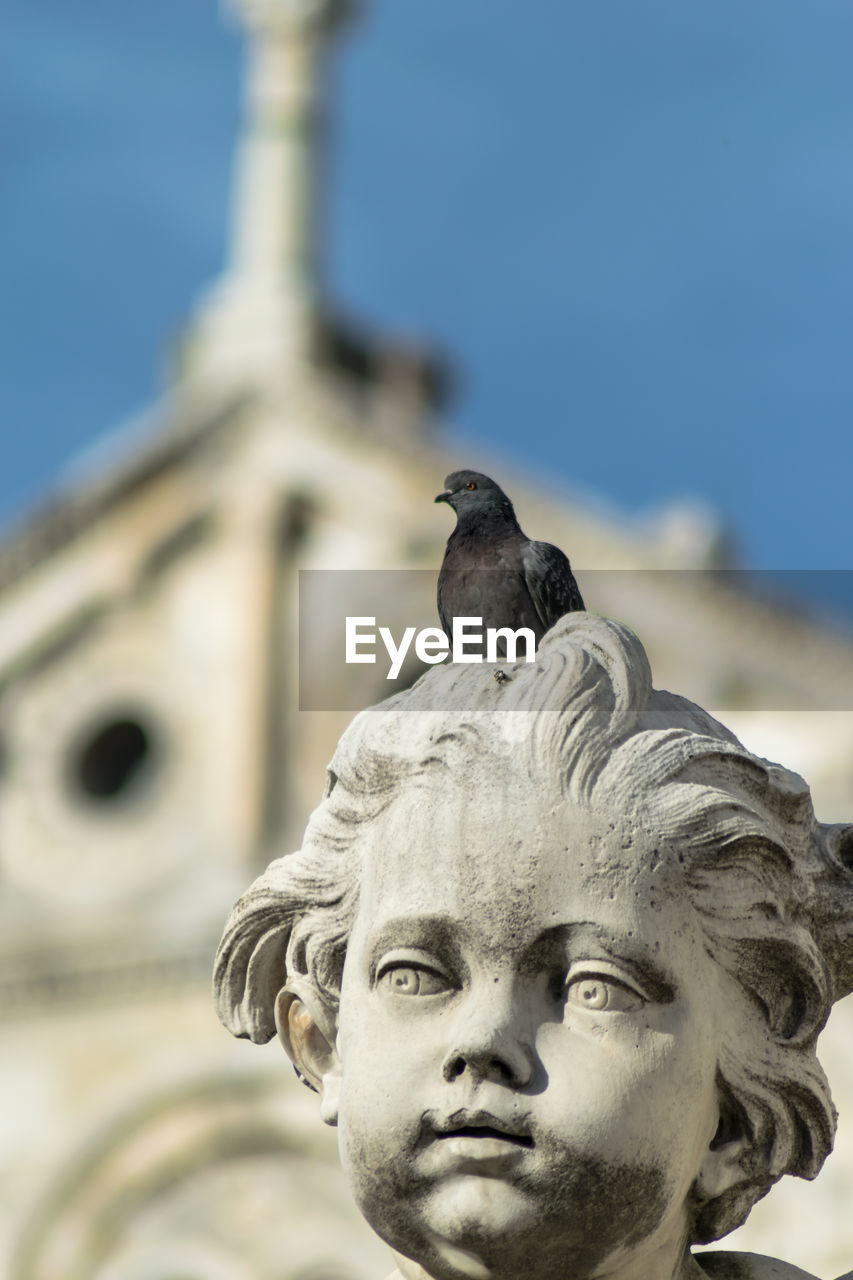 LOW ANGLE VIEW OF STATUE OF A BIRD