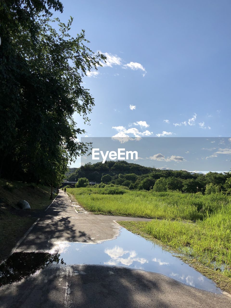 SCENIC VIEW OF ROAD BY LANDSCAPE AGAINST SKY